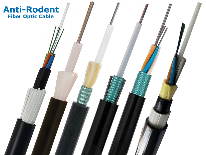 ¿Cómo protege su red el cable de fibra óptica antiroedores?